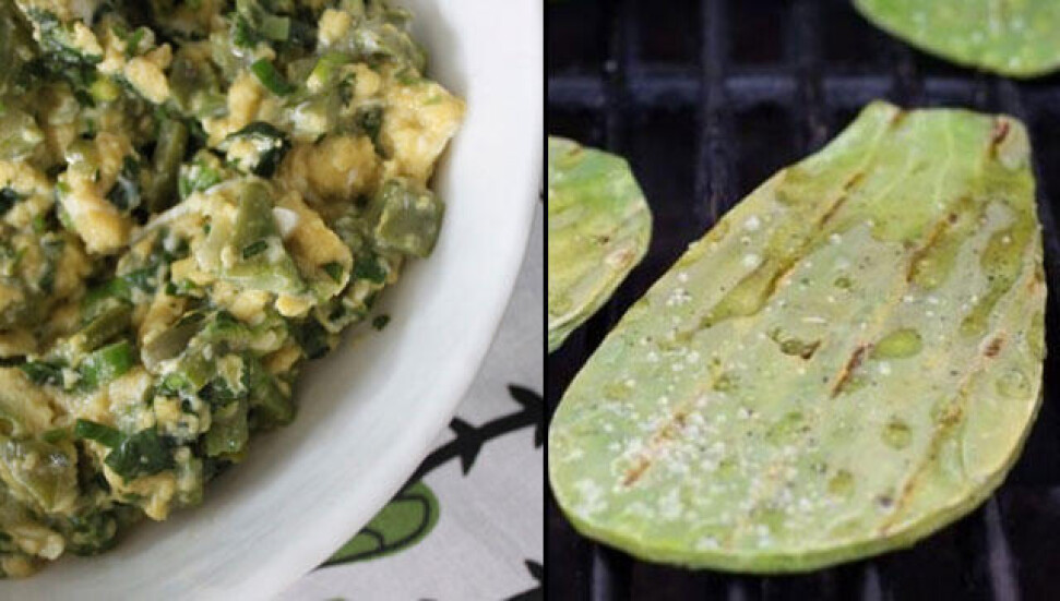 Kaktüsün sağlığa faydaları