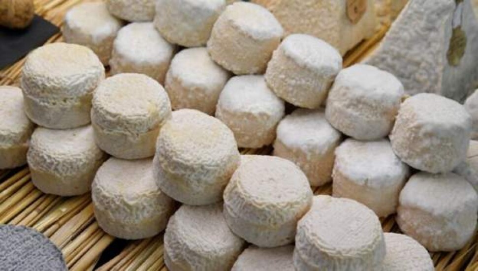 Güney'de “İncir ve Halicia Festivali"nde Kuzey'den ürün kullanıldığı iddiası tartışma yarattı