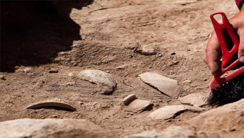 Asur'un yıkımını anlatan tablet bulundu