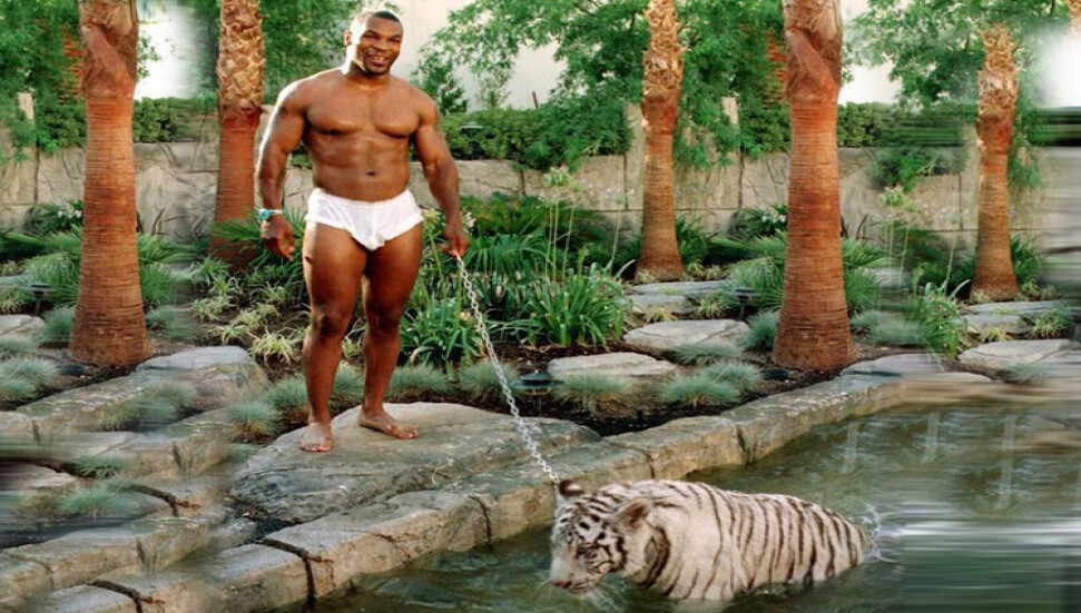 Mike Tyson kaplan sahibi olmaktan pişman