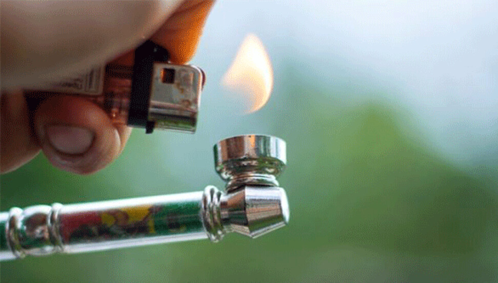 ABD'de araştırma: "Esrar yasallaşınca daha az genç kullanıyor"