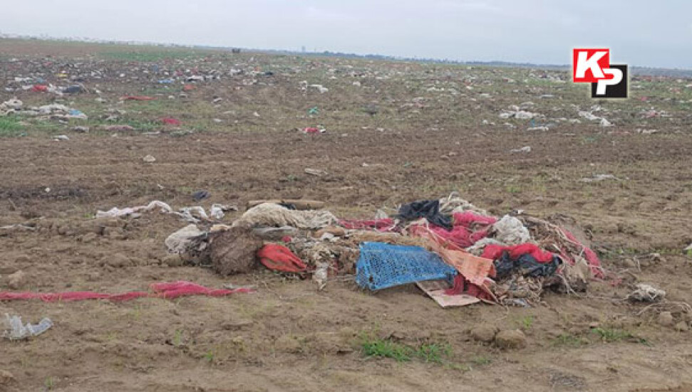 Akademisyen Özejder, çevre kirliliğine isyan etti: Ağır çevre cinayeti!