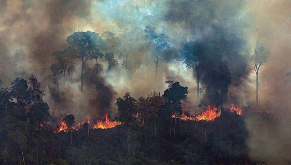 Brezilya'nın Amazon ormanları yanmaya devam ediyor