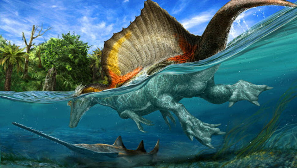 Spinosaurusların yüzdüğü kanıtlandı