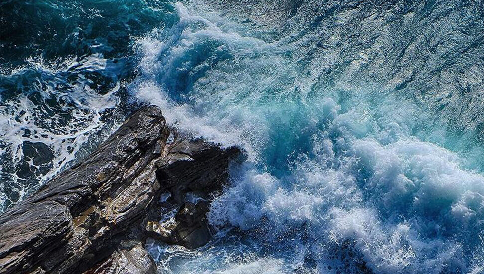 Okyanusun en derin noktalarında bilinmeyen yaşam formları keşfedildi