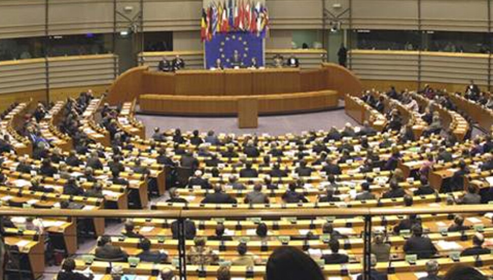 Avrupa Parlamentosu seçimlerinde nasıl oy kullanacaksınız?