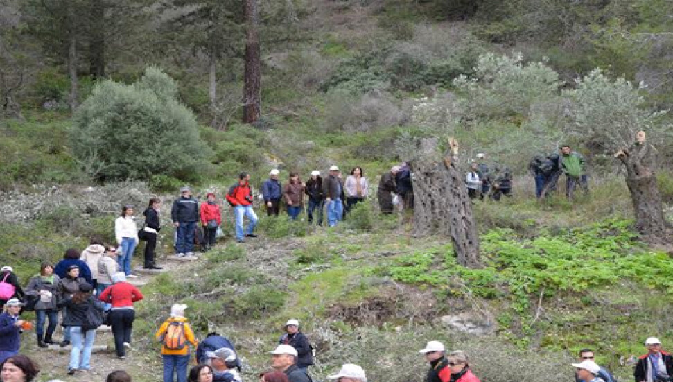 “Orkide Vadisi Gözlem Yürüyüşü”nün 14’üncüsü pazar günü yapılacak