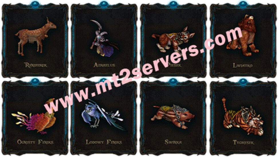 Metin2 Pvp Serverlerde Pet Sistemi