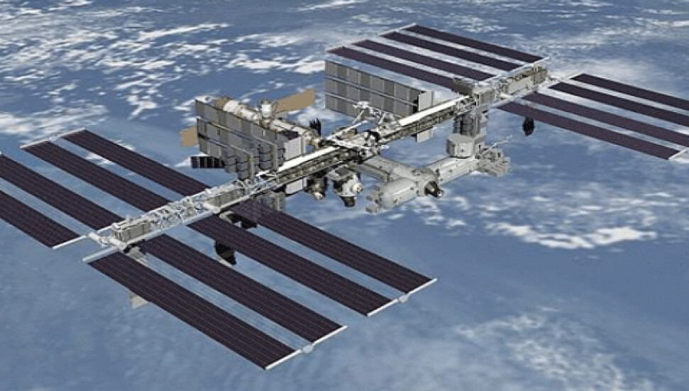 Japonların ünlü içkisi uzayda üretilecek