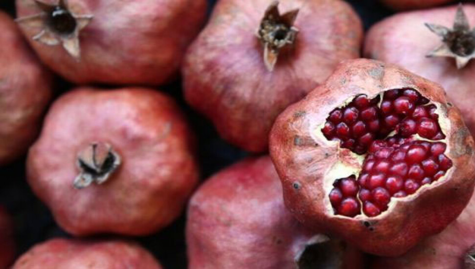 Avustralya'da nardan sarılığa yakalanan kadın öldü