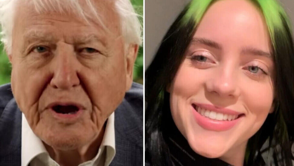 Sir David Attenborough, Billie Eilish'le doğal hayatın yok olmasını konuştu