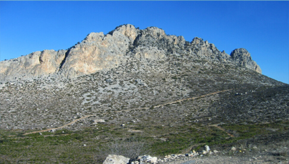 "Beş parmağın beşi de yerinde"