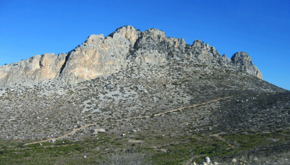 "Beşparmaklar, bir parmağını kaybetti"