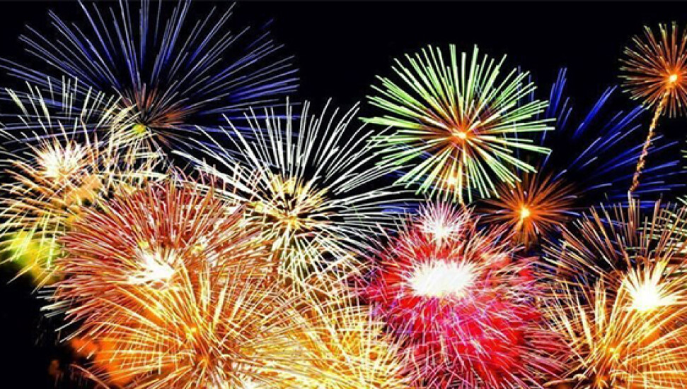 Biyologlar Derneği'nden 'havai fişek yasaklansın' söylemine destek