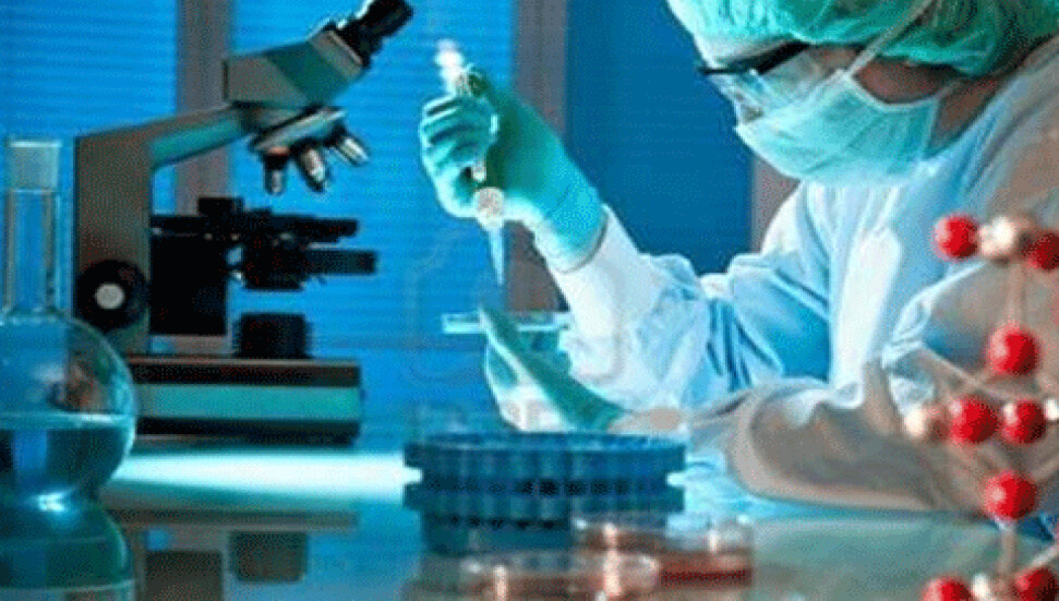 47 ülkede 1335 Türk bilim insanı