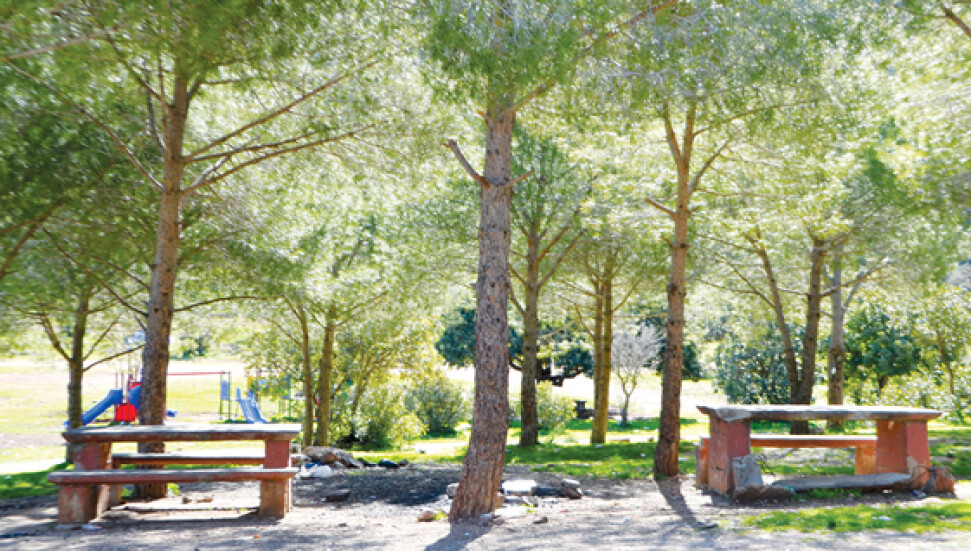 Boğaz piknik alanı şaşırttı