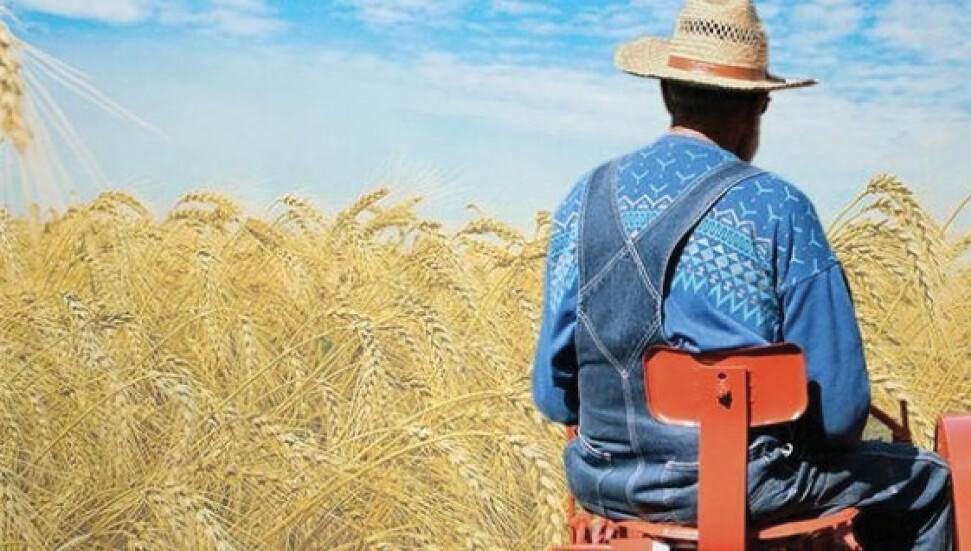 Bugün Dünya Çiftçiler Günü