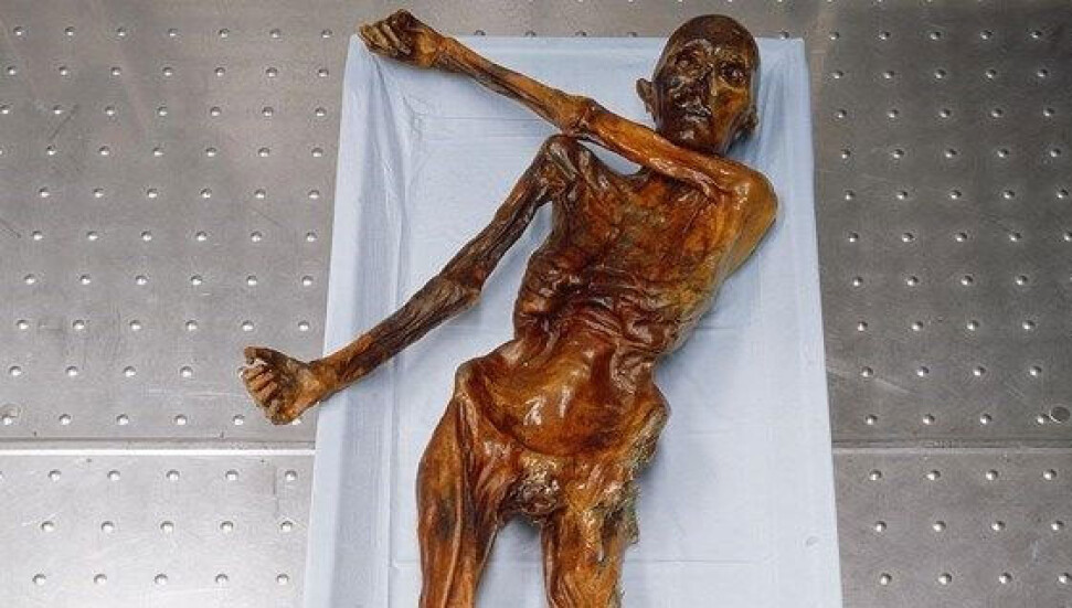 Buz adam Ötzi'nin bir gizemi daha çözüldü