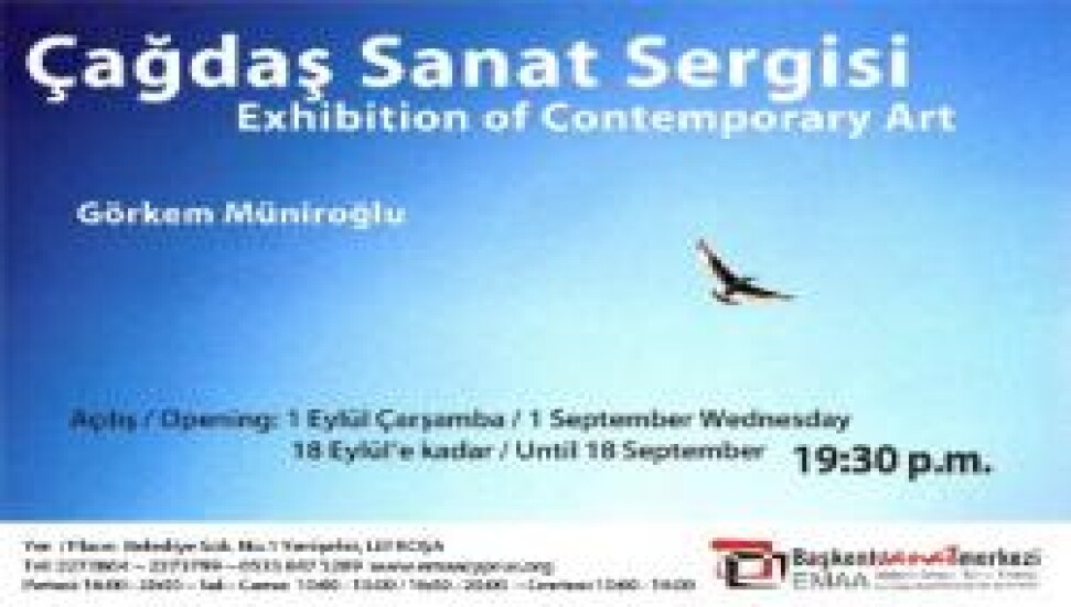Görkem Müniroğlu'nun "Çağdaş Sanat Sergisi" çarşamba akşamı açılacak