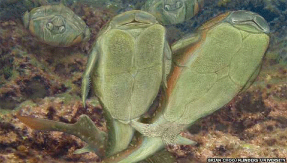 İlk kez seks yapan canlı türü bulundu