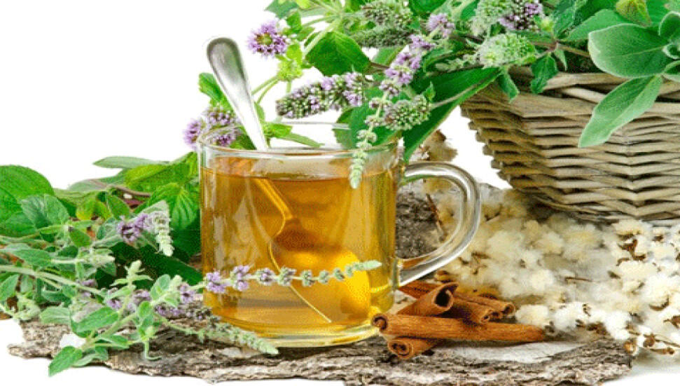 Adaçayının faydaları!