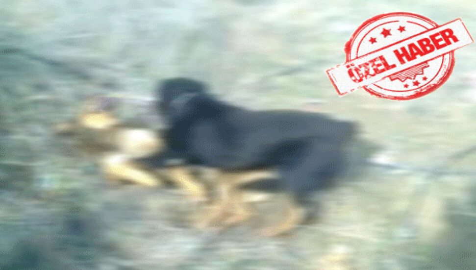 "Köpek dövüşü" işkencesi Facebook'ta!