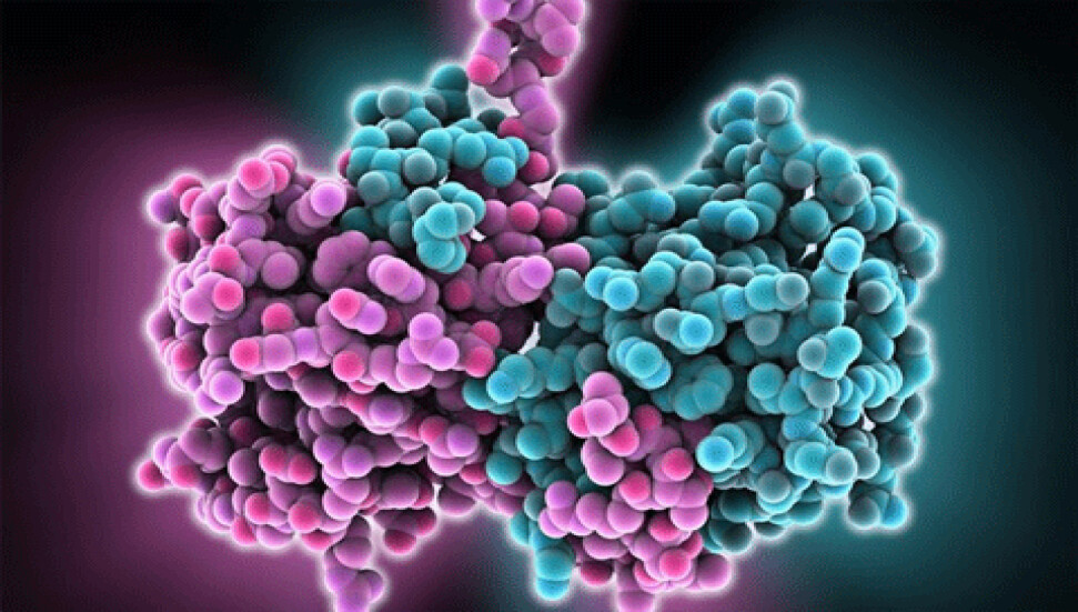 Ebola virüsü mutasyon geçiriyor