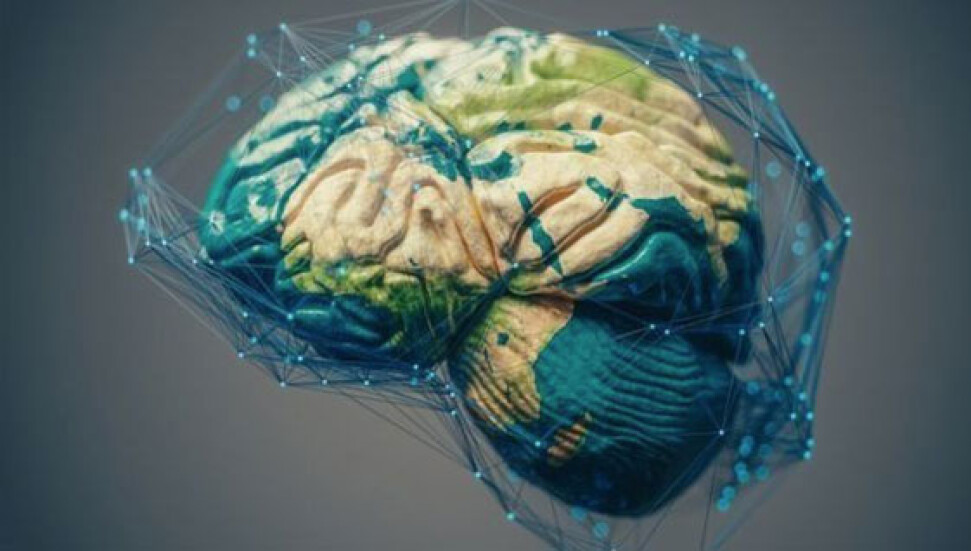 Elon Musk'tan Mark Zuckerberg'e ünlü girişimcilerin '20 saatte öğrenme' sırrı