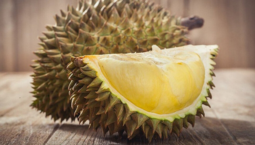 Endonezya'da yasaklı olan "duryan meyvesi" bir kişinin hayatına mal oldu