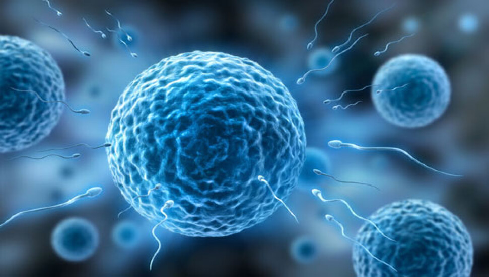 Erkekte neler kısırlıklık yapar?