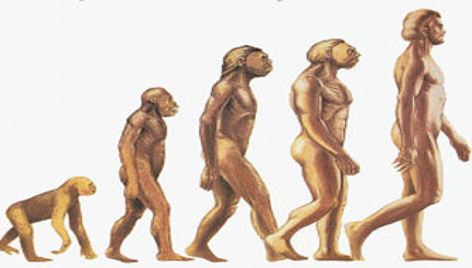 Evrimin kayıp halkası bulundu mu?