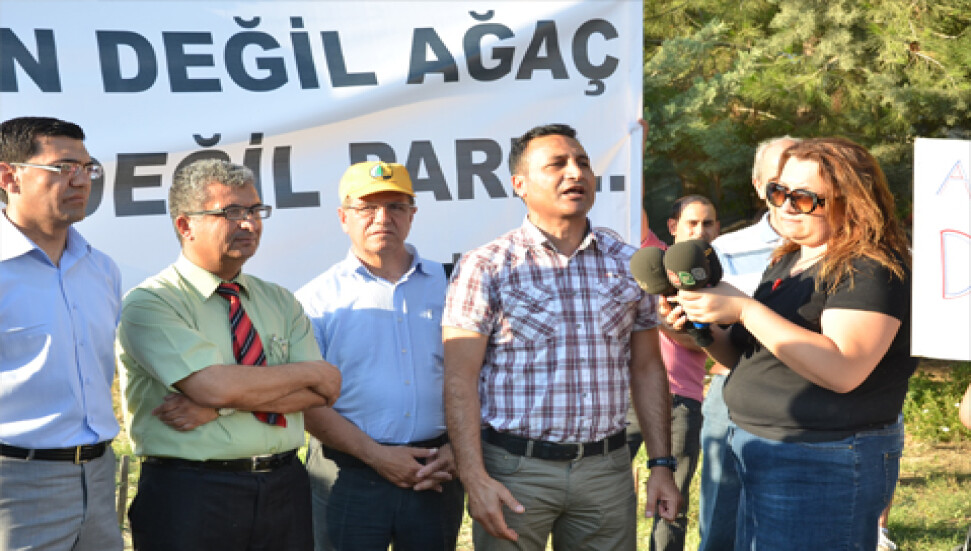 Sivil toplum örgütleri: "Ağaçları kestirmeyiz!"