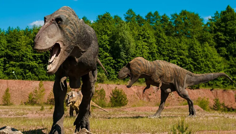 Bilim insanları modern memelilerin en eski akrabalarını ortaya çıkardı