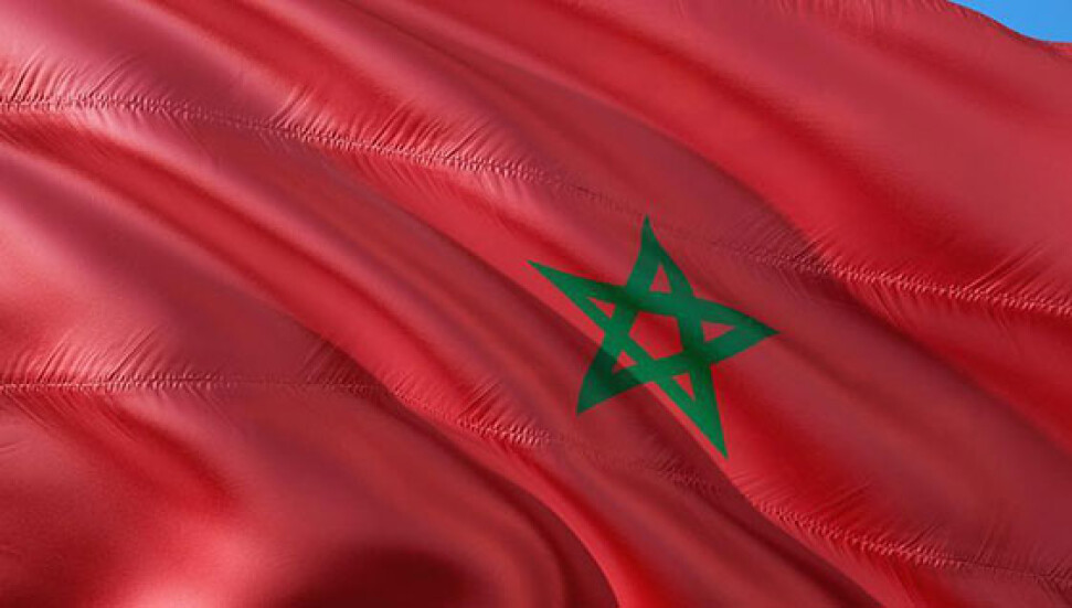 Fas BM'yi Polisario Cephesi'ne karşı uyardı