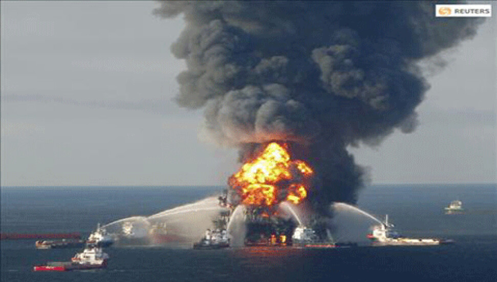 Meksika Körfezi'ndeki çevre felaketi