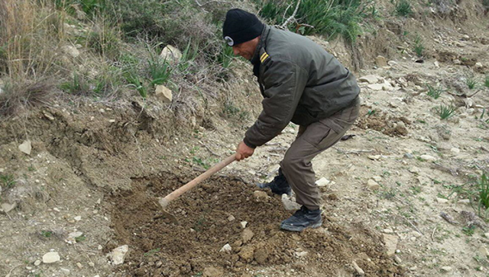 "E-fidan" projesinin ilk fidanları dikildi