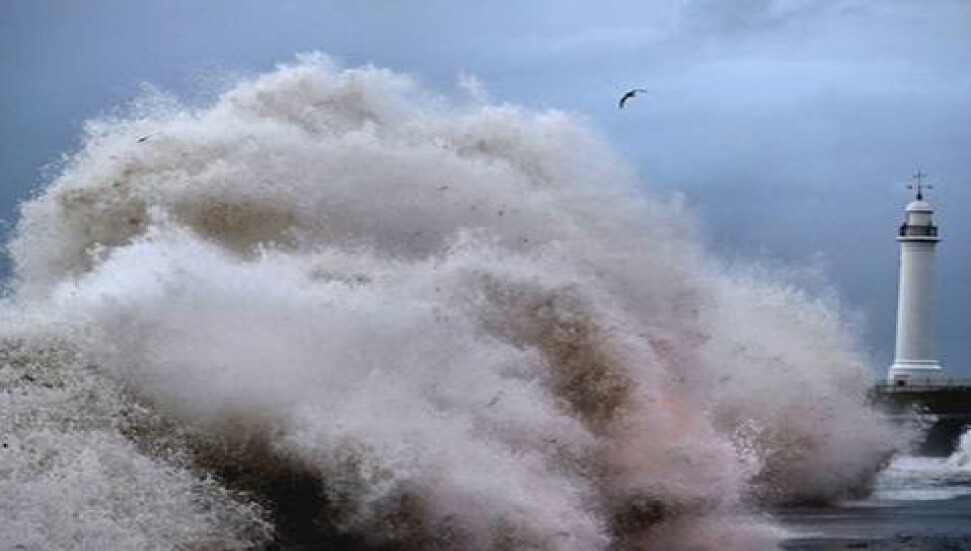 İngiltere'de fırtına 3 kişinin ölümüne sebep oldu