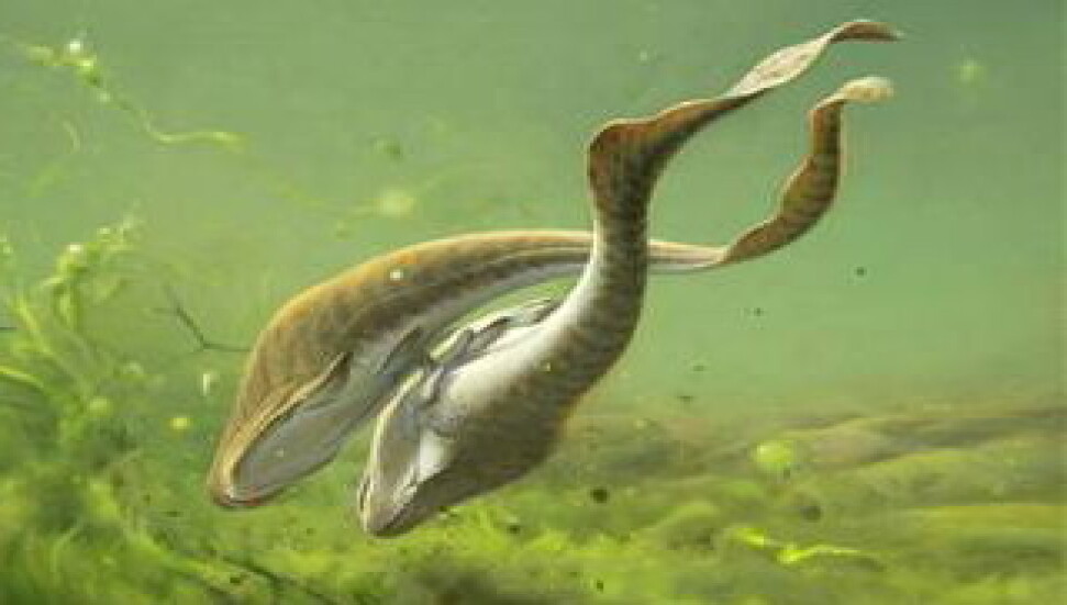 Fosiller tarih önceki cinsel yaşama ışık tutuyor