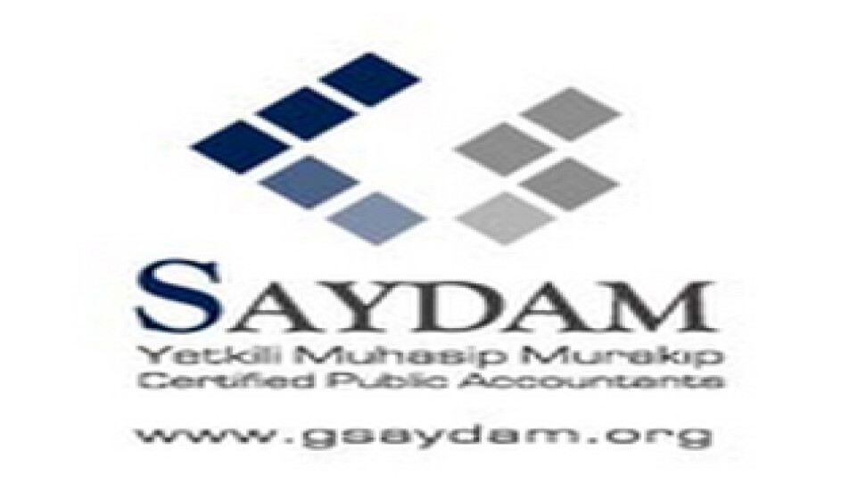 Ekonomist Saydam, kur riskini yazdı