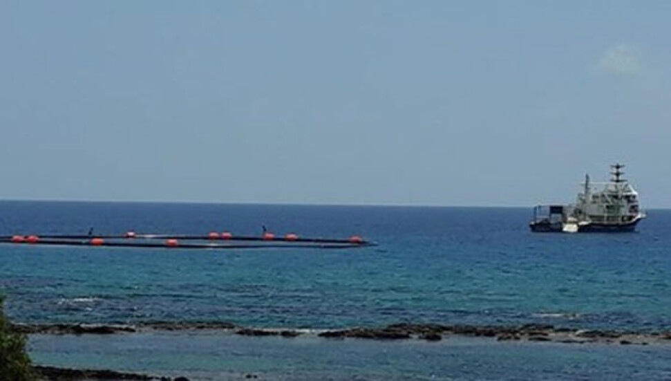 Gırgırlar yine Karpaz'da göründü