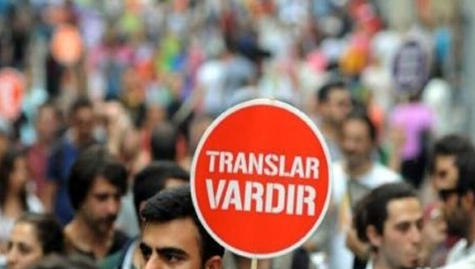 Güney Kıbrıs'ta trans kişilerle ilgili araştırma yapıldı