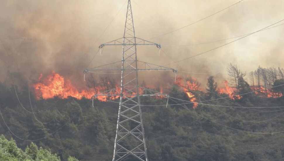 Orman Dairesi'nden uyarı: "1 Mayıs- 31 Ekim tarihleri arasında ateş yakmak yasak"