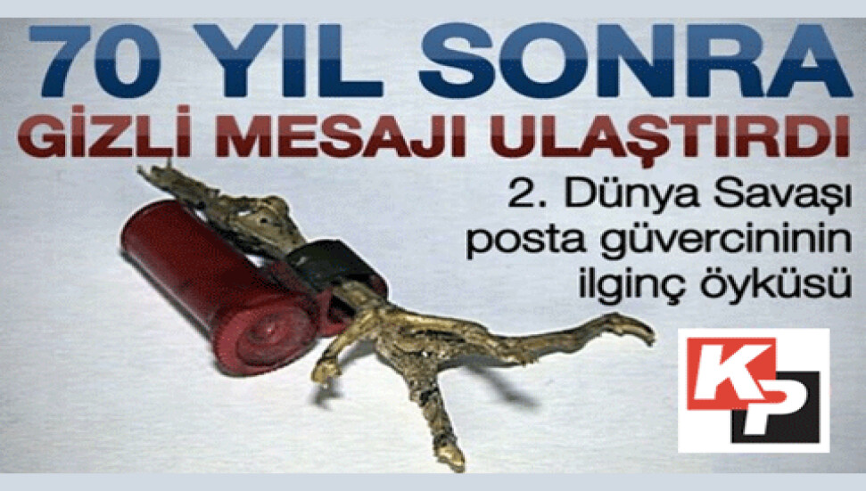 Posta güvercini 2. Dünya Savaşı'nın mesajını bugüne taşıdı