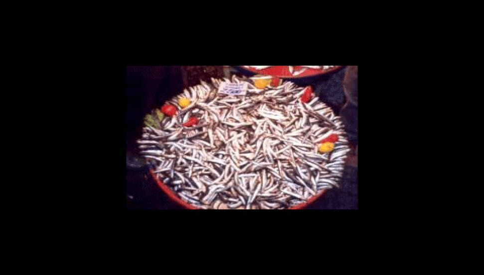 Geleneksel Hamsi Festivali, bu yıl iptal edildi