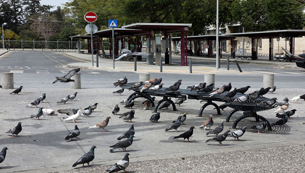 Güney'de 31 Ocak'a kadar sıkı önlemler: Gece sokağa çıkma yasağı uygulanacak...