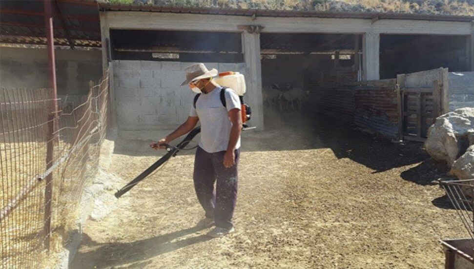 Dikmen Belediyesi belediye sınırları içerisinde tüm köyleri ilaçlıyor