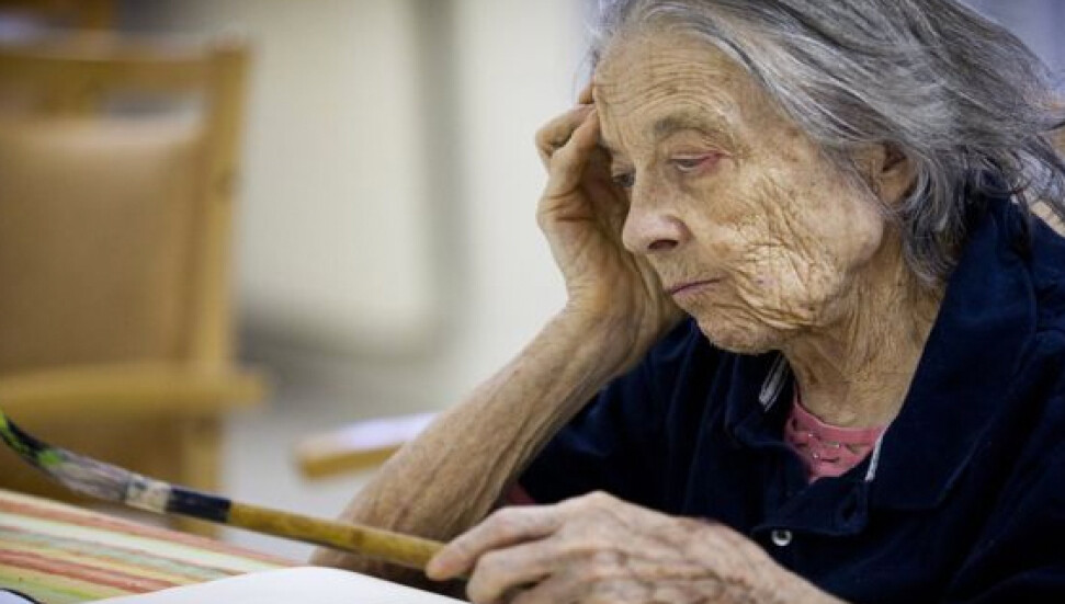 Alzheimer tedavisinin anahtarı, bu hayvanların kanında mı gizli?