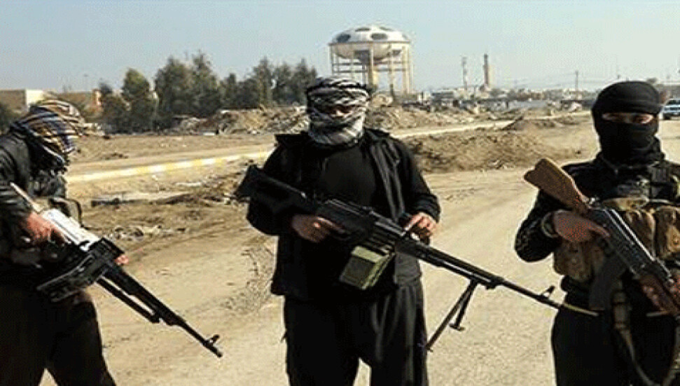 Sünni aşiretler IŞİD'e karşı birleşti