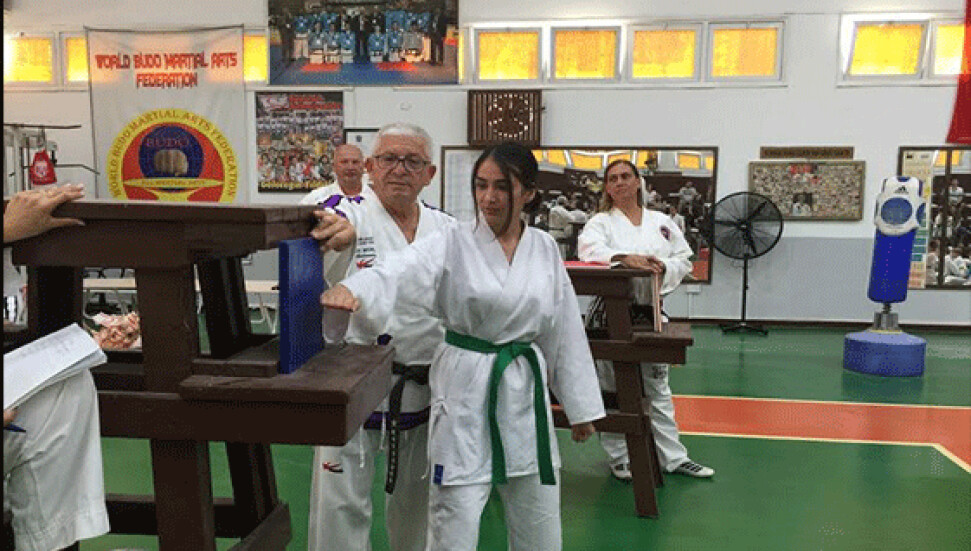 İzzet Mustafa Kaysu Taekwondo Karate Budo Müsabakaları gerçekleşti