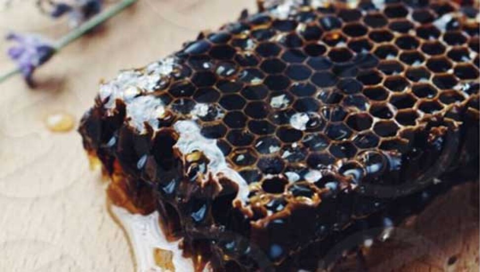 Kanser hücrelerinin yeni silahı "siyah bal" 